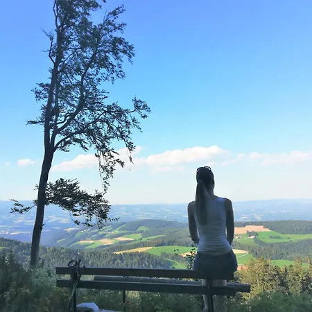 In Ruhiger Lage - 3 Schlafzimmer- Große Terrasse Pöllauberg