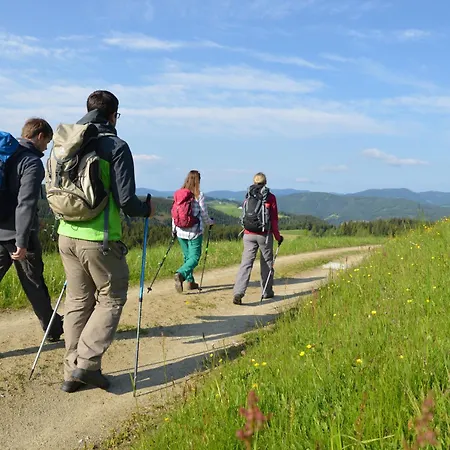 In Ruhiger Lage - 3 Schlafzimmer- Grosse Terrasse Pöllauberg