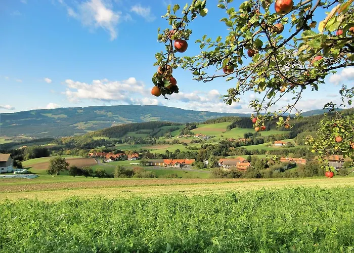 In Ruhiger Lage - 3 Schlafzimmer- Grosse Terrasse