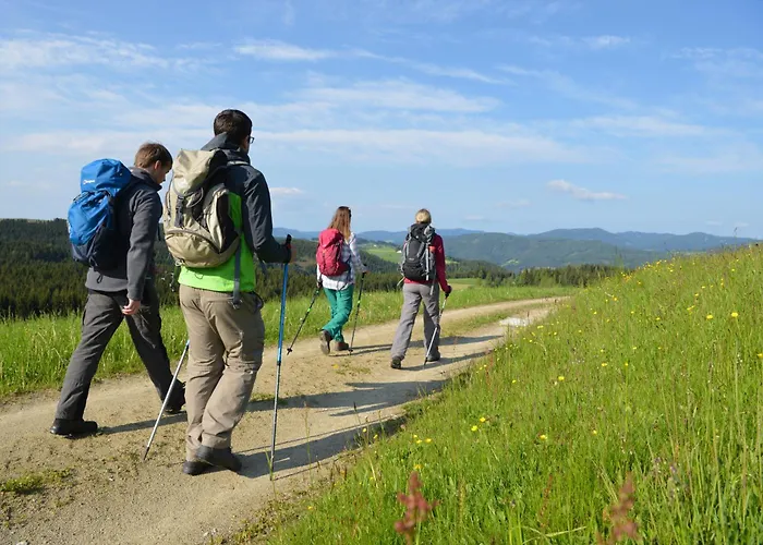 In Ruhiger Lage - 3 Schlafzimmer- Grosse Terrasse Pöllauberg